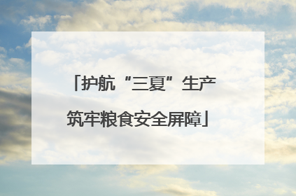 护航“三夏”生产 筑牢粮食安全屏障