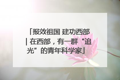 报效祖国 建功西部｜在西部，有一群“追光”的青年科学家