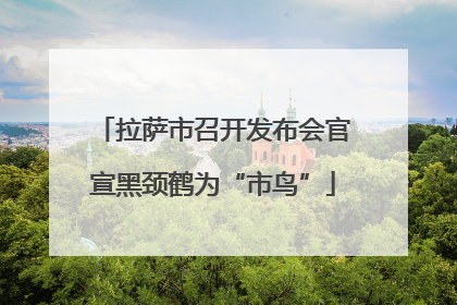 拉萨市召开发布会官宣黑颈鹤为“市鸟”