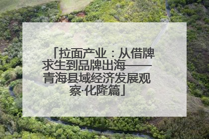 拉面产业：从借牌求生到品牌出海——青海县域经济发展观察·化隆篇