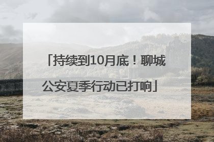 持续到10月底！聊城公安夏季行动已打响