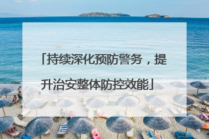 持续深化预防警务，提升治安整体防控效能