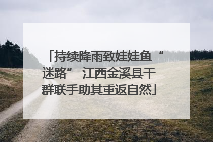 持续降雨致娃娃鱼“迷路” 江西金溪县干群联手助其重返自然