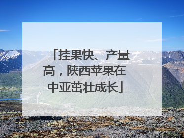 挂果快、产量高，陕西苹果在中亚茁壮成长