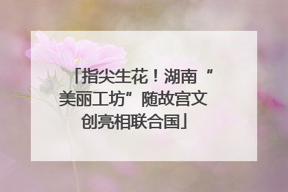 指尖生花！湖南“美丽工坊”随故宫文创亮相联合国