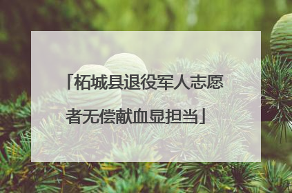 柘城县退役军人志愿者无偿献血显担当