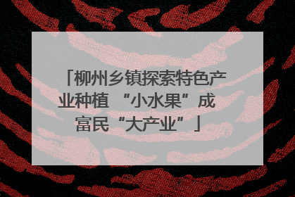 柳州乡镇探索特色产业种植 “小水果”成富民“大产业”