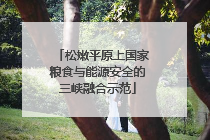 松嫩平原上国家粮食与能源安全的三峡融合示范
