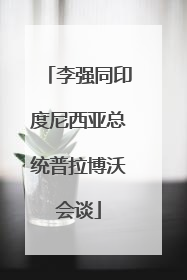 李强同印度尼西亚总统普拉博沃会谈