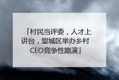 村民当评委，人才上讲台，望城区举办乡村CEO竞争性路演