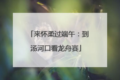 来怀柔过端午：到汤河口看龙舟赛