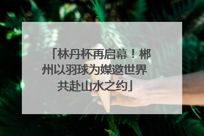 林丹杯再启幕！郴州以羽球为媒邀世界共赴山水之约