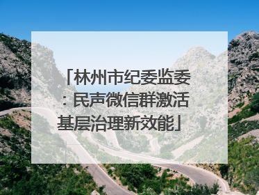 林州市纪委监委：民声微信群激活基层治理新效能