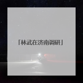 林武在济南调研