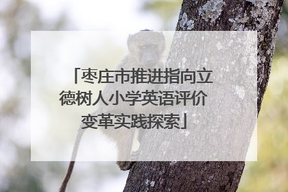 枣庄市推进指向立德树人小学英语评价变革实践探索