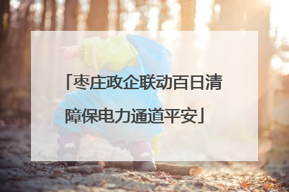 枣庄政企联动百日清障保电力通道平安