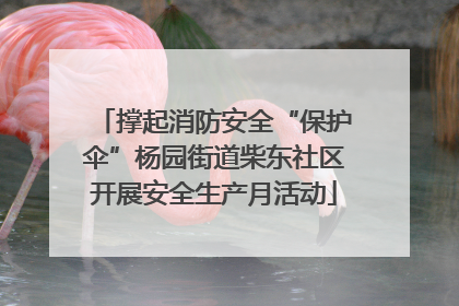 撑起消防安全“保护伞”杨园街道柴东社区开展安全生产月活动