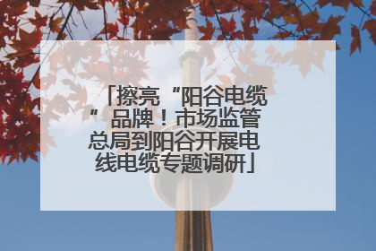 擦亮“阳谷电缆”品牌！市场监管总局到阳谷开展电线电缆专题调研