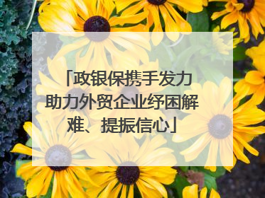 政银保携手发力 助力外贸企业纾困解难、提振信心