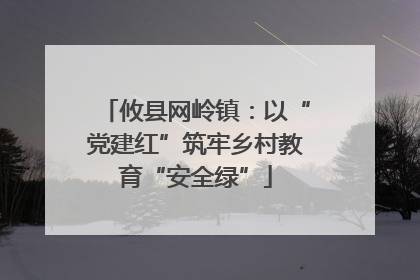 攸县网岭镇：以“党建红”筑牢乡村教育“安全绿”