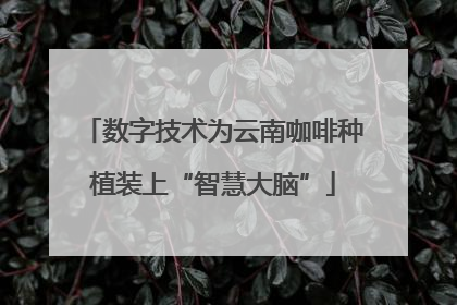 数字技术为云南咖啡种植装上“智慧大脑”