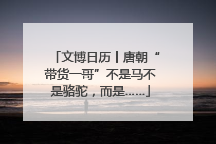 文博日历丨唐朝“带货一哥”不是马不是骆驼，而是……