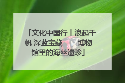 文化中国行丨浪起千帆 深蓝宝藏——博物馆里的海丝遗珍