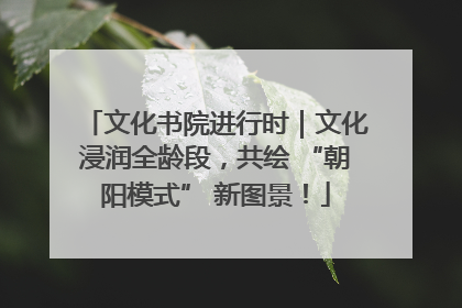 文化书院进行时｜文化浸润全龄段，共绘 “朝阳模式” 新图景！
