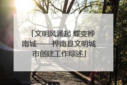 文明风涌起 蝶变桦南城——桦南县文明城市创建工作综述