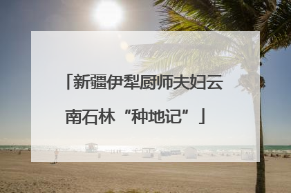 新疆伊犁厨师夫妇云南石林“种地记”