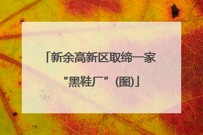 新余高新区取缔一家“黑鞋厂”(图)