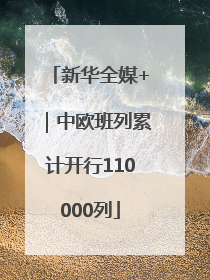 新华全媒+｜中欧班列累计开行110000列