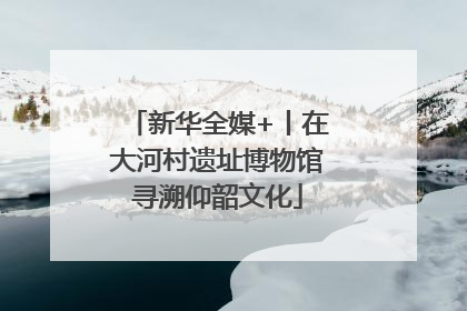 新华全媒+丨在大河村遗址博物馆寻溯仰韶文化