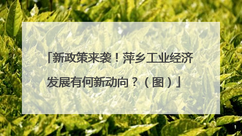 新政策来袭！萍乡工业经济发展有何新动向？（图）