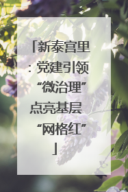 新泰宫里：党建引领“微治理” 点亮基层“网格红”
