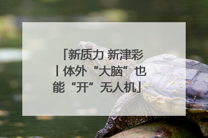 新质力 新津彩丨体外“大脑”也能“开”无人机