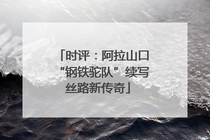 时评：阿拉山口“钢铁驼队”续写丝路新传奇
