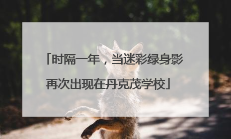 时隔一年，当迷彩绿身影再次出现在丹克茂学校