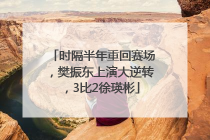 时隔半年重回赛场，樊振东上演大逆转，3比2徐瑛彬