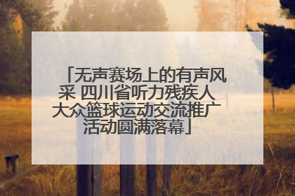 无声赛场上的有声风采 四川省听力残疾人大众篮球运动交流推广活动圆满落幕