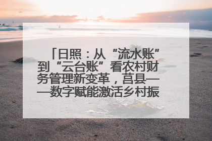 日照：从“流水账”到“云台账”看农村财务管理新变革，莒县——数字赋能激活乡村振兴“一池春水”