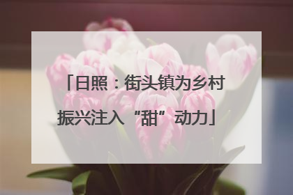 日照：街头镇为乡村振兴注入“甜”动力