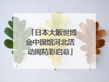 日本大阪世博会中国馆河北活动周精彩启幕