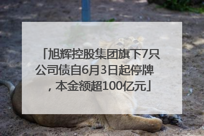 旭辉控股集团旗下7只公司债自6月3日起停牌，本金额超100亿元