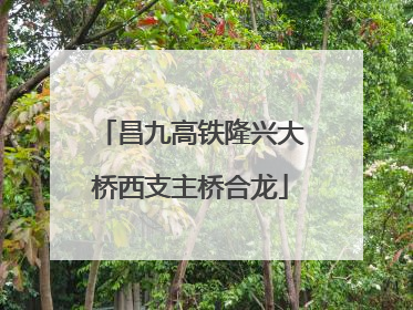 昌九高铁隆兴大桥西支主桥合龙