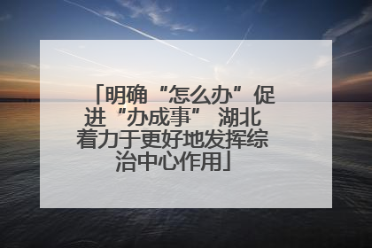 明确“怎么办”促进“办成事” 湖北着力于更好地发挥综治中心作用