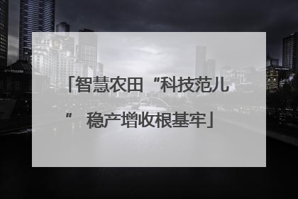 智慧农田“科技范儿” 稳产增收根基牢