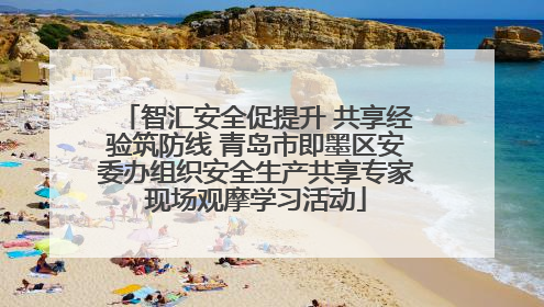 智汇安全促提升 共享经验筑防线 青岛市即墨区安委办组织安全生产共享专家现场观摩学习活动
