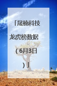 晟楠科技龙虎榜数据（6月3日）