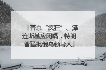 普京“疯狂”、泽连斯基应闭嘴，特朗普猛批俄乌领导人